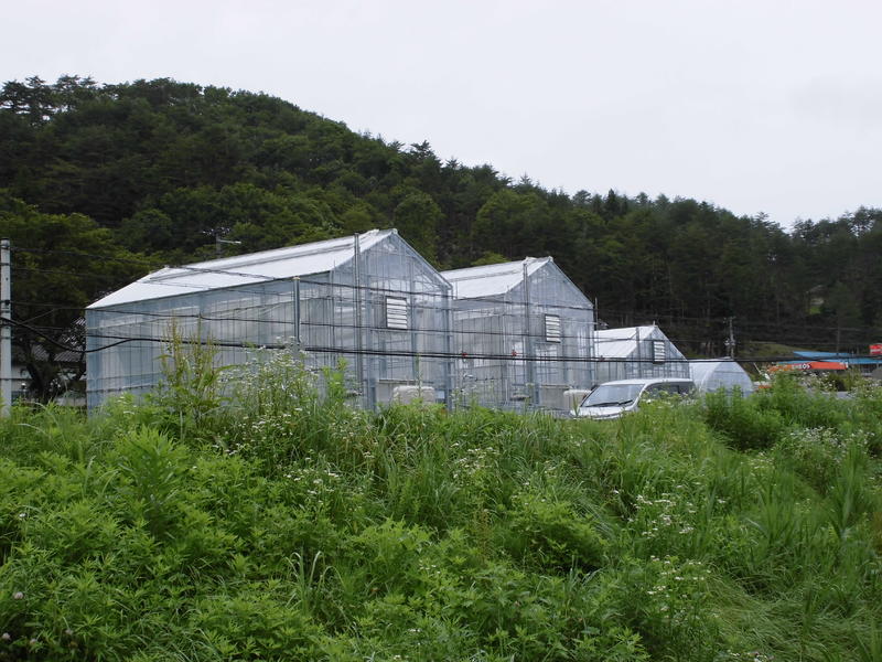 植物工場全景