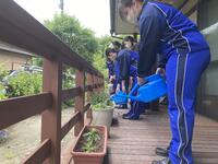 きれいなお花が咲きますように きれいなお花が咲きますように