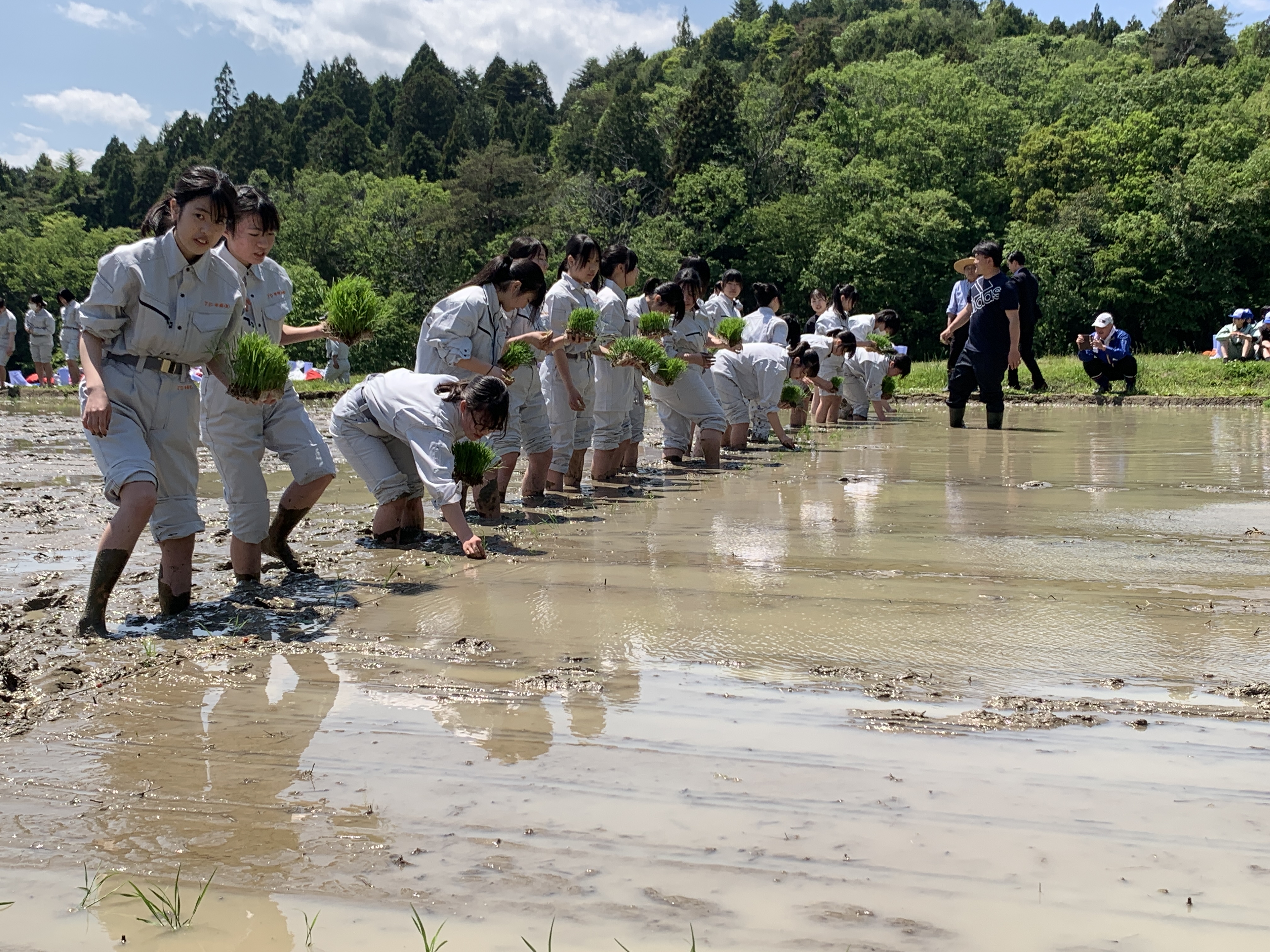 生活科学